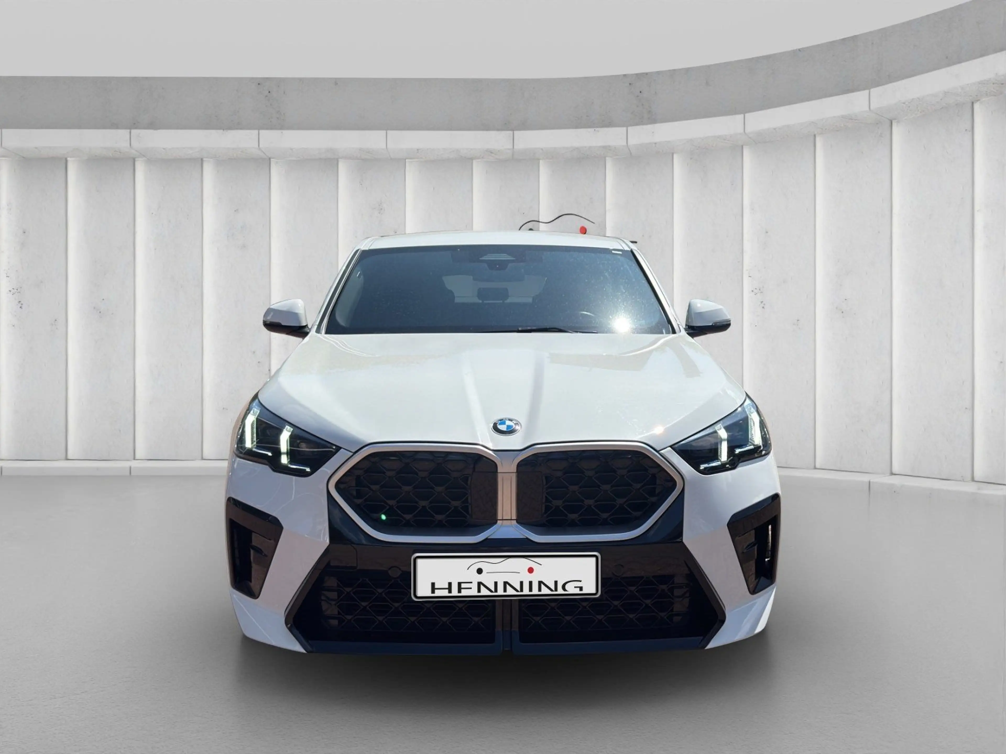 BMW X2 sDrive 18d M-Sportpaket Digitaltacho Kamera — photo 8