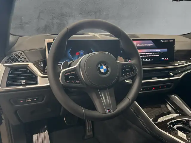 BMW X6 view 9