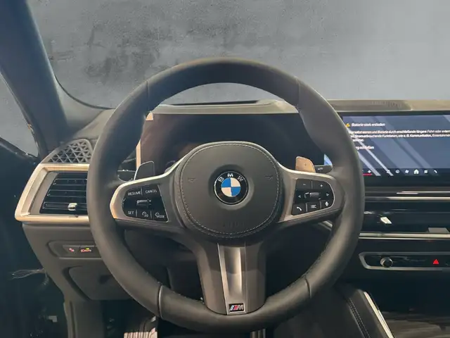 BMW X6 view 10