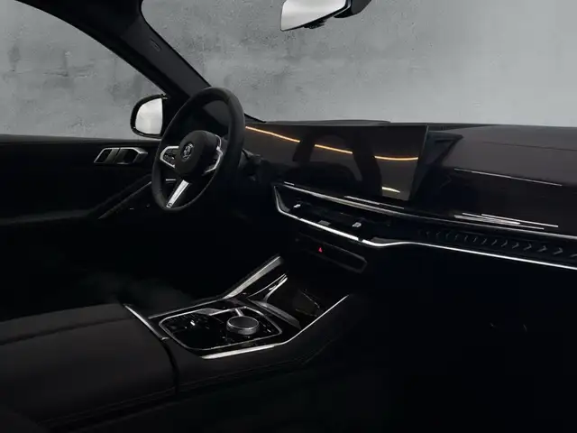 BMW X6 view 12