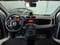 Fiat Panda 1.occ 69cv Cross Hibryd IvaEsposta NEOPATENTATI Grijs - thumbnail 11