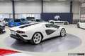 Lamborghini Countach LPI 800-4 | Triple White | 1/112 Weiß - thumbnail 28