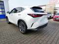 Lexus NX 350h NX 350 h Luxury Line FLA, HUD, Pano, Leder, LM Blanc - thumbnail 4