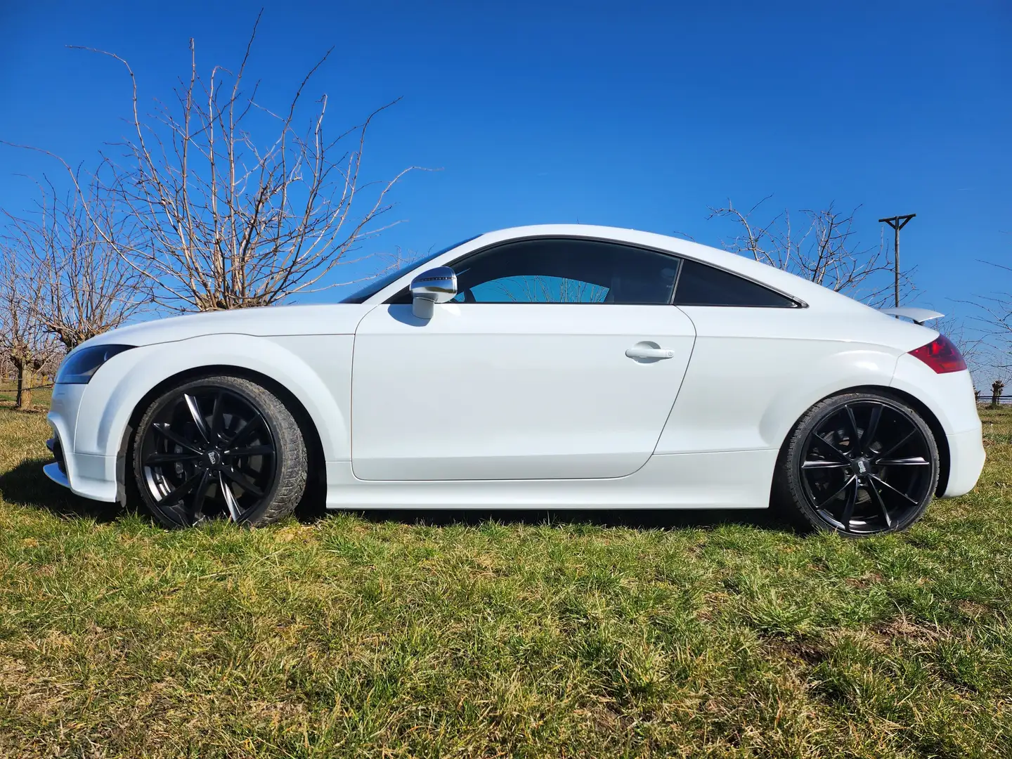 Audi TTS TTS Coupe S tronic Blanco - 2
