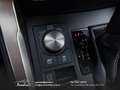 Lexus NX 300 300h 2.5 Business 2wd CVT prezzo REALE Grau - thumbnail 30