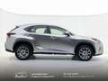 Lexus NX 300 300h 2.5 Business 2wd CVT prezzo REALE Grau - thumbnail 17