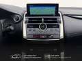 Lexus NX 300 300h 2.5 Business 2wd CVT prezzo REALE Grau - thumbnail 28