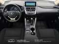 Lexus NX 300 300h 2.5 Business 2wd CVT prezzo REALE Grau - thumbnail 9