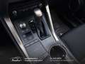 Lexus NX 300 300h 2.5 Business 2wd CVT prezzo REALE Grau - thumbnail 13