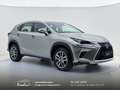 Lexus NX 300 300h 2.5 Business 2wd CVT prezzo REALE Grau - thumbnail 16