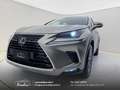 Lexus NX 300 300h 2.5 Business 2wd CVT prezzo REALE Grau - thumbnail 6