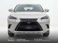 Lexus NX 300 300h 2.5 Business 2wd CVT prezzo REALE Grau - thumbnail 2