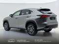 Lexus NX 300 300h 2.5 Business 2wd CVT prezzo REALE Grau - thumbnail 19