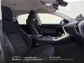 Lexus NX 300 300h 2.5 Business 2wd CVT prezzo REALE Grau - thumbnail 34