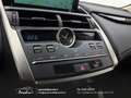 Lexus NX 300 300h 2.5 Business 2wd CVT prezzo REALE Grau - thumbnail 29