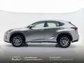 Lexus NX 300 300h 2.5 Business 2wd CVT prezzo REALE Grau - thumbnail 4