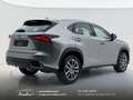 Lexus NX 300 300h 2.5 Business 2wd CVT prezzo REALE Grau - thumbnail 3
