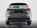 Lexus NX 300 300h 2.5 Business 2wd CVT prezzo REALE Grau - thumbnail 18