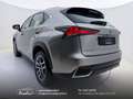 Lexus NX 300 300h 2.5 Business 2wd CVT prezzo REALE Grau - thumbnail 21