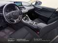Lexus NX 300 300h 2.5 Business 2wd CVT prezzo REALE Grau - thumbnail 7