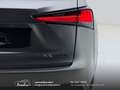 Lexus NX 300 300h 2.5 Business 2wd CVT prezzo REALE Grau - thumbnail 22