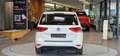 Volkswagen Touran 1.6 TDI SKY 7-Sitzer DSG *Pano*Winter-Paket*Spiege Weiß - thumbnail 8