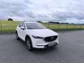 Mazda CX-5 CD150 AWD Takumi Weiß - thumbnail 7