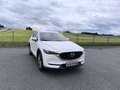 Mazda CX-5 CD150 AWD Takumi Weiß - thumbnail 4