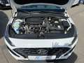 Hyundai i30 SW 1.5 T-GDI Smart KAMERA SHZ LED-S. Blanc - thumbnail 8
