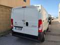 Fiat Ducato Ducato 28 2.3MJT 120CV PC-TN NETTO!!! Blanc - thumbnail 4