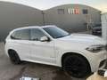 BMW X5 X5 Diesel xDrive30d Weiß - thumbnail 5