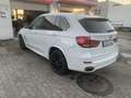BMW X5 X5 Diesel xDrive30d Weiß - thumbnail 3