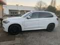 BMW X5 X5 Diesel xDrive30d Weiß - thumbnail 2