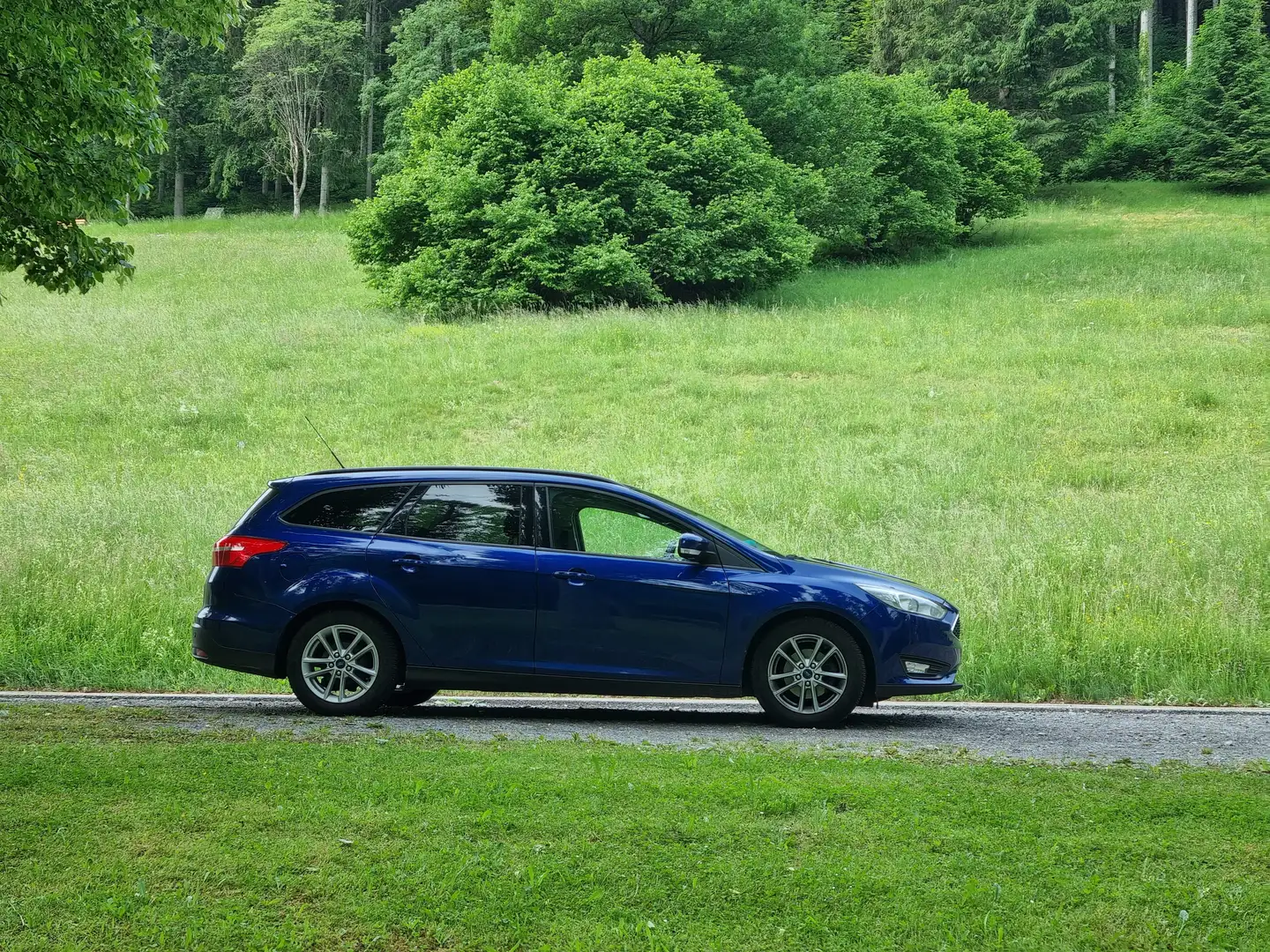 Ford Focus 1.5 TDCi Business Edition Blauw - 1