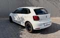 Volkswagen Polo V Fresh BMT/Start-Stopp Klima SHZ Blanco - thumbnail 6