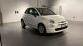 Fiat 500 1.0 Hybrid Bianco - thumbnail 5