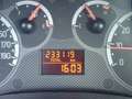 Fiat Panda 1.2 Edizione Cool - Airco Azul - thumbnail 25