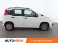 Fiat Panda 1.3 M-Jet Easy Bianco - thumbnail 7
