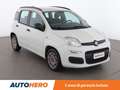 Fiat Panda 1.3 M-Jet Easy Bianco - thumbnail 8