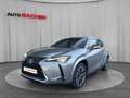 Lexus Sonstige UX 250H E-four Luxury Line Silber - thumbnail 1
