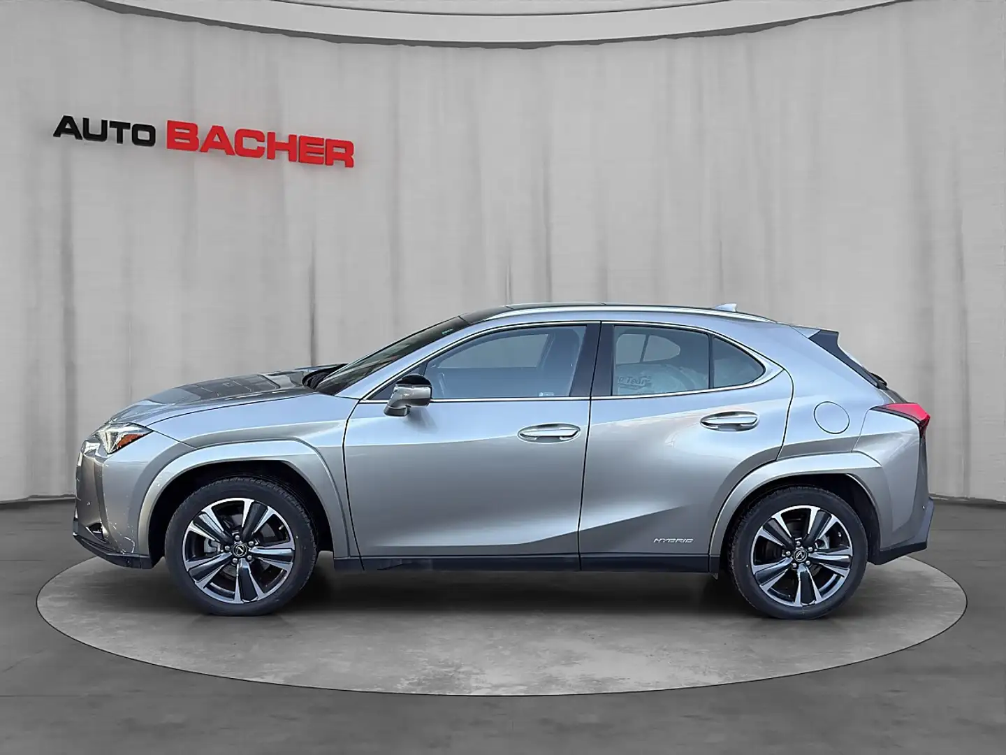 Lexus Sonstige UX 250H E-four Luxury Line Silber - 2