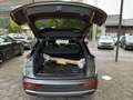 Audi Q5 50 TFSIe quattro S line ''Luft+Matrix+Assistenz'' Grau - thumbnail 14