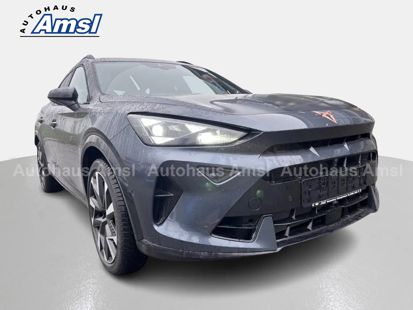 CUPRA Formentor VZ 2.0 TSI 4Drive*Pano*AHK*Matrix*360° Grau - 2