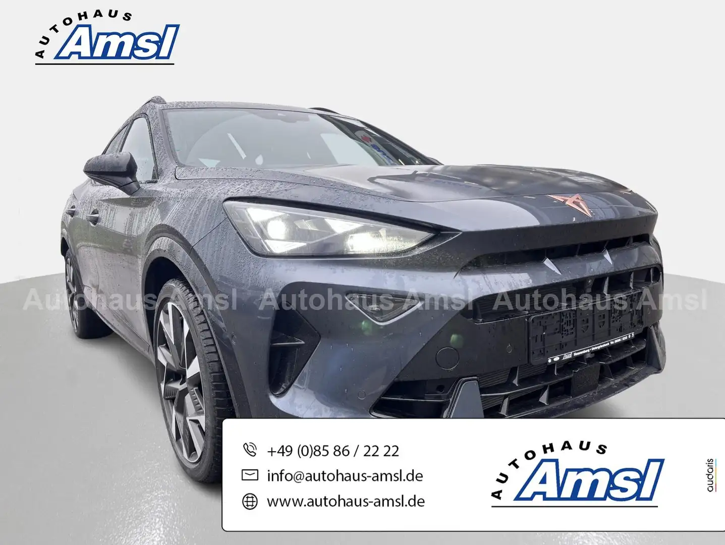 CUPRA Formentor VZ 2.0 TSI 4Drive*Pano*AHK*Matrix*360° Grau - 1