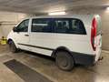 Mercedes-Benz Vito Vito 115 CDI 4x4 9 posti Aut. Gancio traino Blanco - thumbnail 5