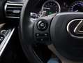 Lexus IS 300 300h Edition | Leder | Stoelverwarming | Parkeerse Gris - thumbnail 19