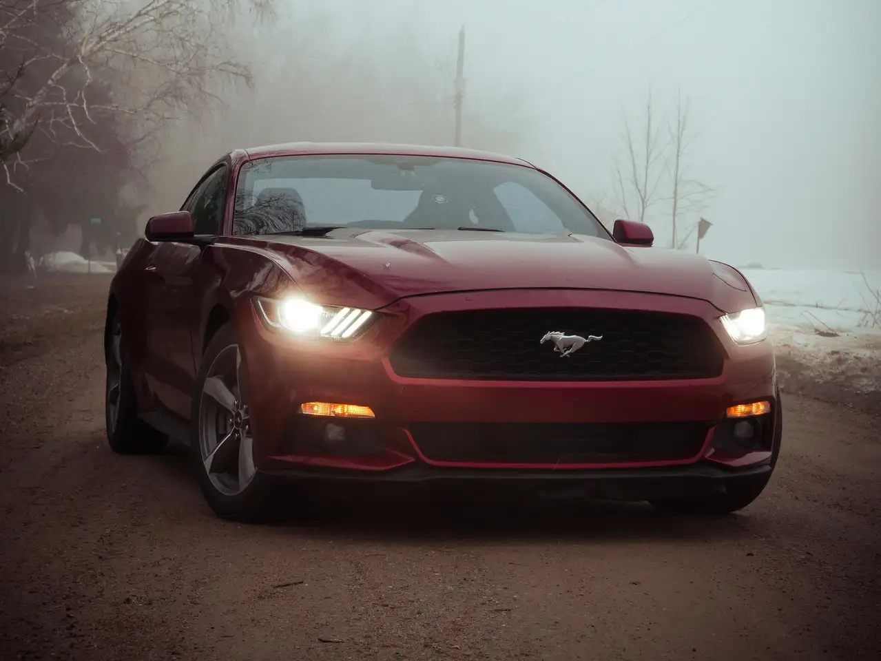 Ford Mustang снимка Ford Mustang