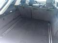 Audi A6 A6 Avant 2.0 tdi Business P quattro 190cv s-tronic Silber - thumbnail 12