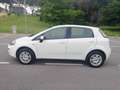 Fiat Punto Punto III 2012 5p 1.4 natural power Lounge 70cv E6 Bianco - thumbnail 5