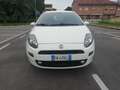 Fiat Punto Punto III 2012 5p 1.4 natural power Lounge 70cv E6 Bianco - thumbnail 2